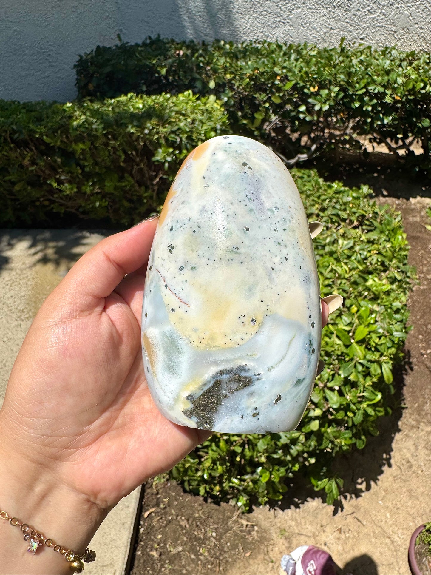 Sea Jasper Freeform