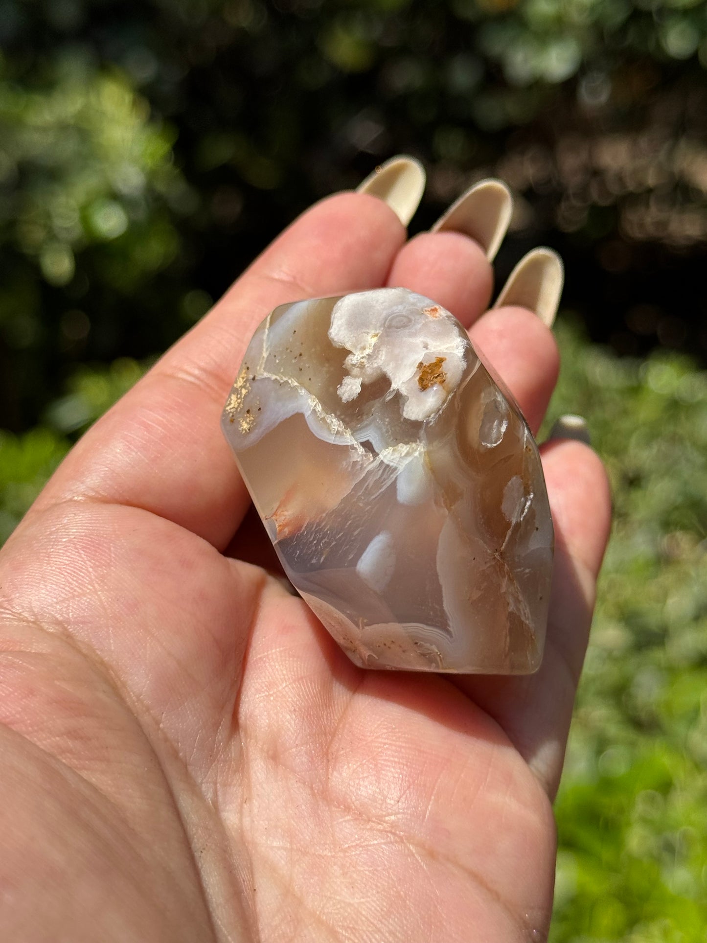 Flower Agate Freeform
