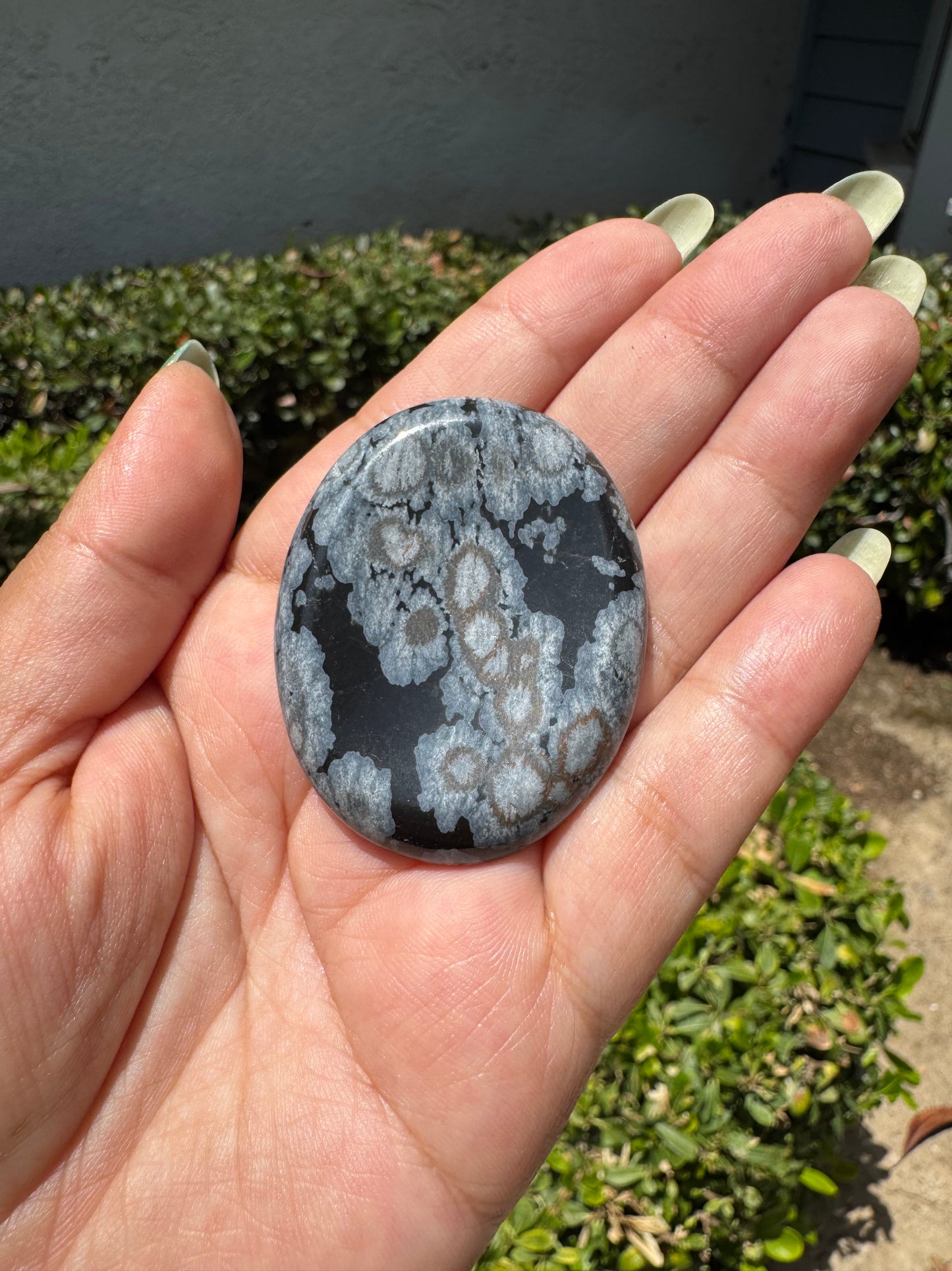 Snowflake Obsidian Worry Stone